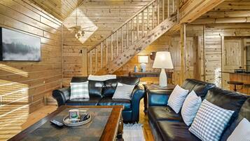 TV connectée, cheminée, lecteur de DVD