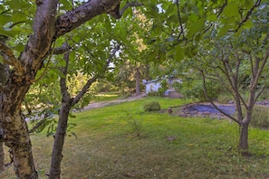Un jardín con un sendero que conduce a un edificio blanco, rodeado de árboles y césped.