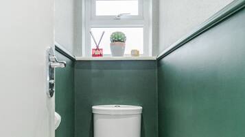 Combined shower/tub, hair dryer, towels