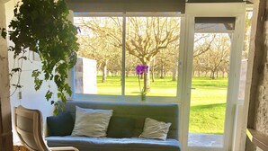 Et værelse med trægulv, en grøn sofa, en træstol og en hængende plante.