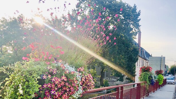 En fortov med gelænder i rødt metal, en støbt sti og forskellige blomstrende planter.