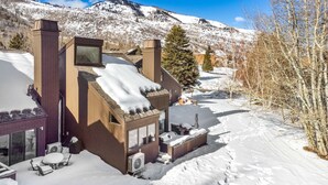 A modern house with a large chimney, a covered patio with outdoor seating, and a snowy mountain backdrop.
