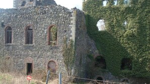 An old stone building with ivy-covered walls and multiple arched windows. - Woodland Chalet in the Ardennes (Olloy-sur-Viroin)