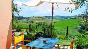 A patio with a table and chairs, an umbrella, and a view of vineyards.