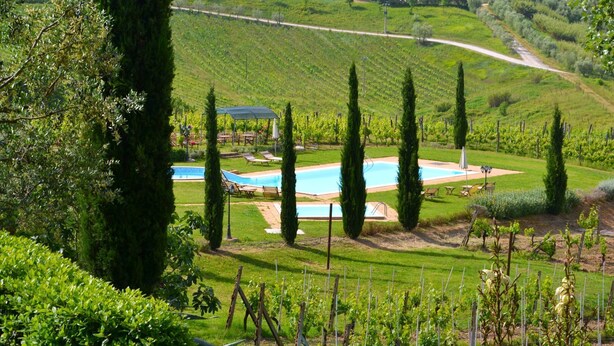 Ein Poolbereich mit Garten, umgeben von Weinbergen und einer Hügellandschaft im Hintergrund.