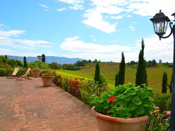 A paved outdoor area with potted plants and a view of vineyards.