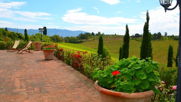 A paved outdoor area with brick flooring, potted plants, and a view of vineyards in the background. - Belvilla by OYO Geranio (Stabbia)