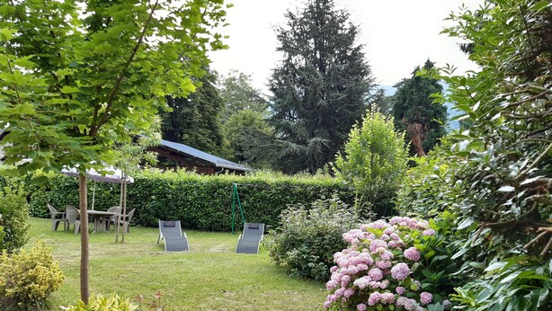 Un jardin avec une table et des chaises, une haie et un arbre.