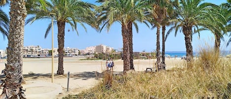 A beach with palm trees, a sandy path, and buildings in the background.