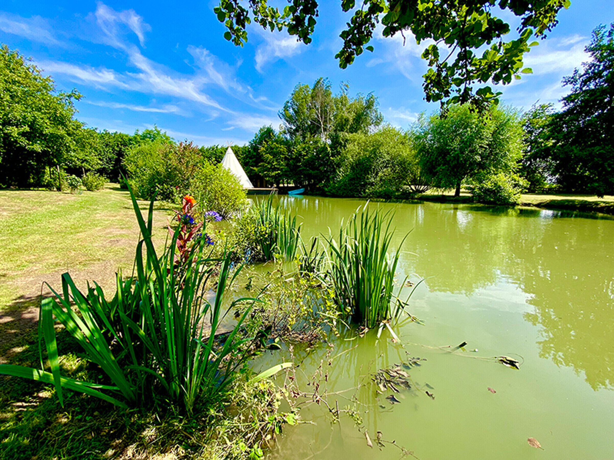 Terrein van de accommodatie