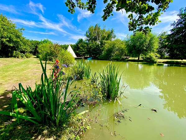 Parco della struttura