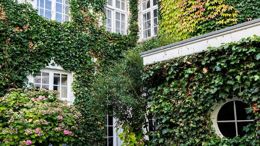 Molenmeers Boutique Guesthouses