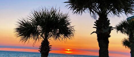 Playa en los alrededores