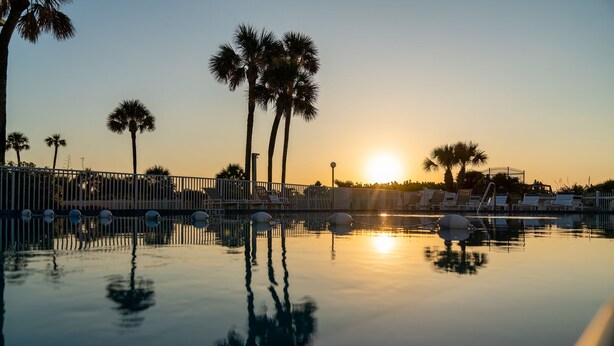 Un área de piscina tranquila con reflejos nítidos de palmeras y un atardecer.