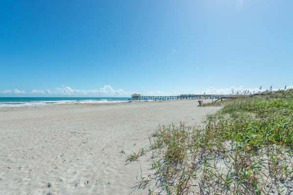 A beach with a pier extending into the ocean, sandy beach, and some vegetation.