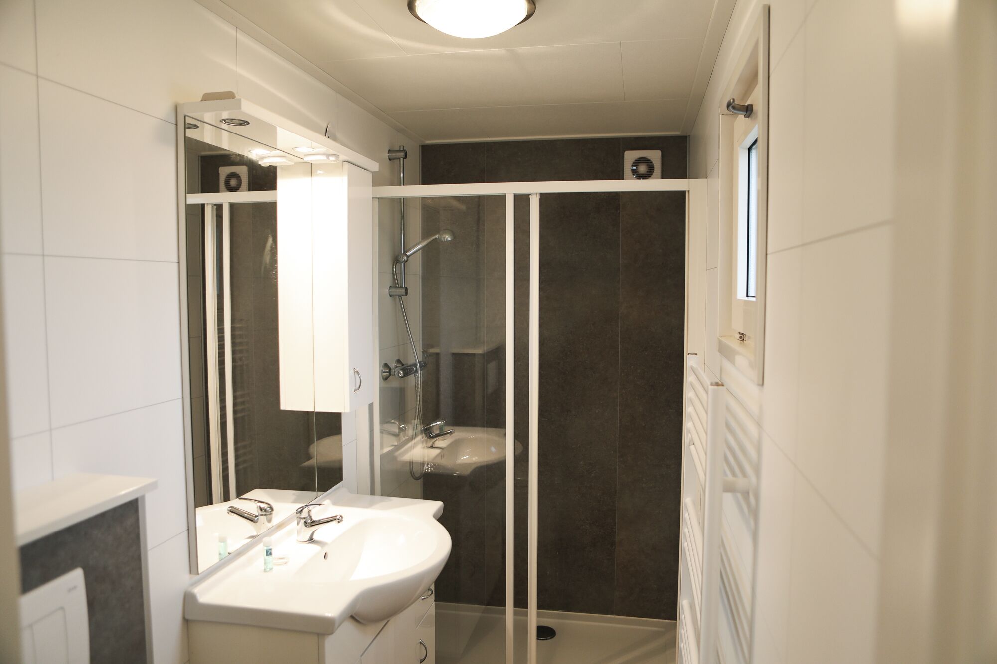 Shower, towels, toilet paper
