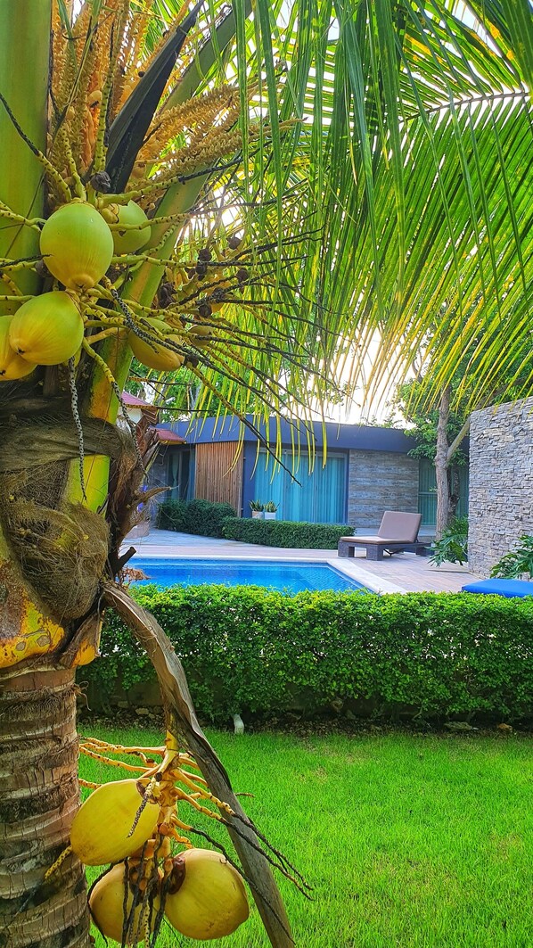 Pool - Country house 6 bedrooms. 22 min from Bayahibe beach! (Higüey)