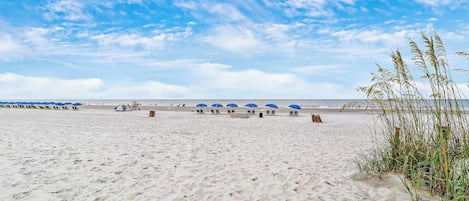 Perto da praia