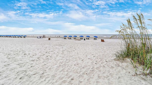 Una playa con hileras de sombrillas azules y sillas de playa, una carpa y vegetación escasa.