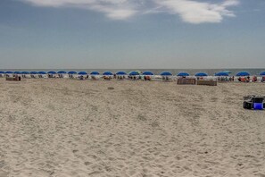 Een strand met rijen blauwe parasols en ligbedden.