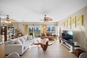 智能电视、DVD 播放器