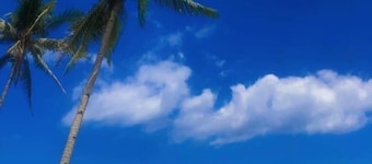 Beachfront and a stunning view of an island