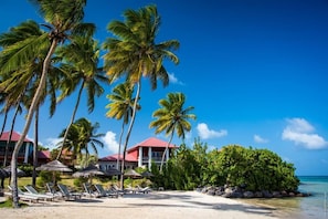A beach resort with palm trees, lounge chairs, and a building with a red roof.