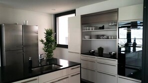 Fridge, stovetop, dishwasher