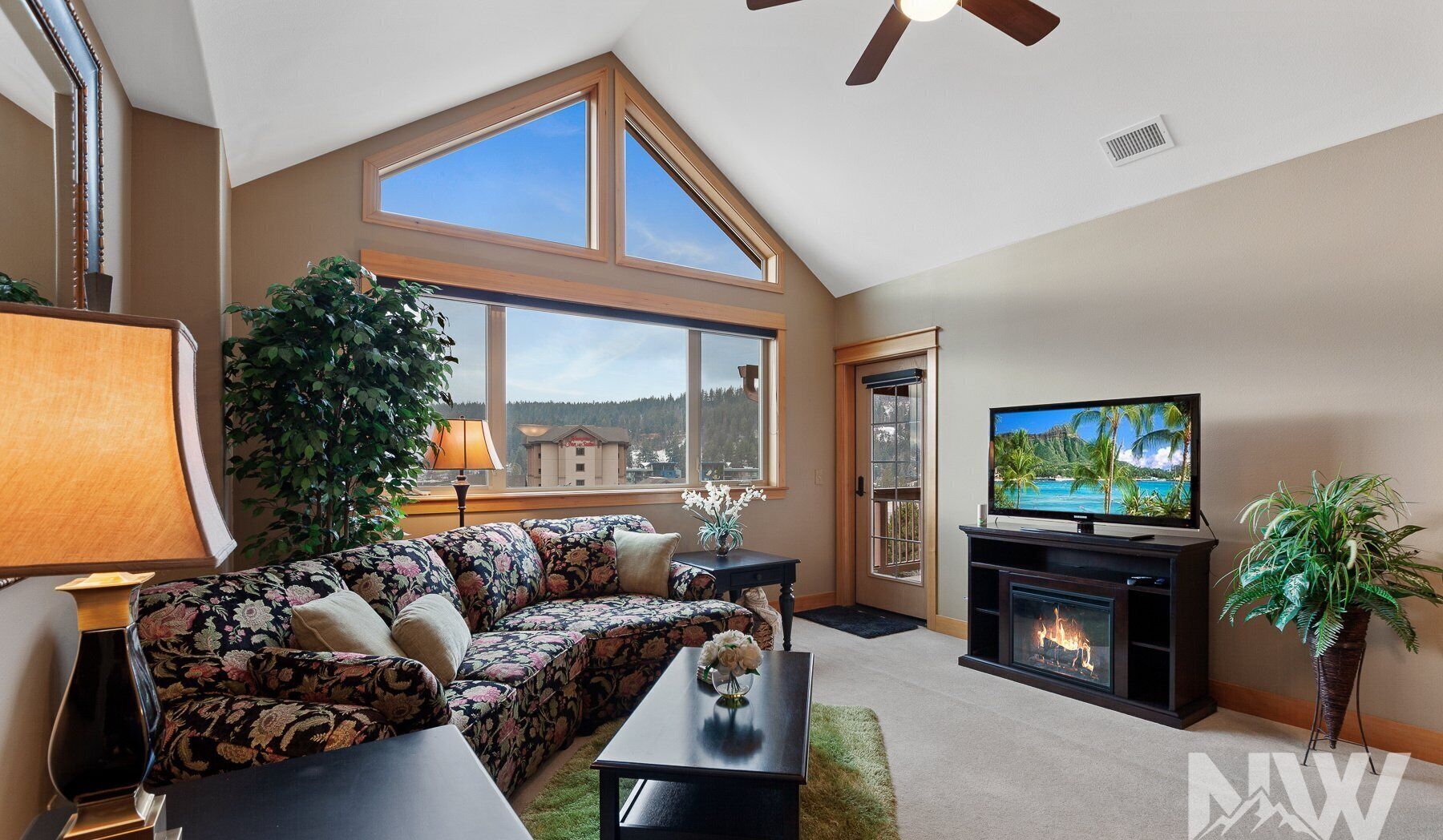 Smart TV, fireplace, books