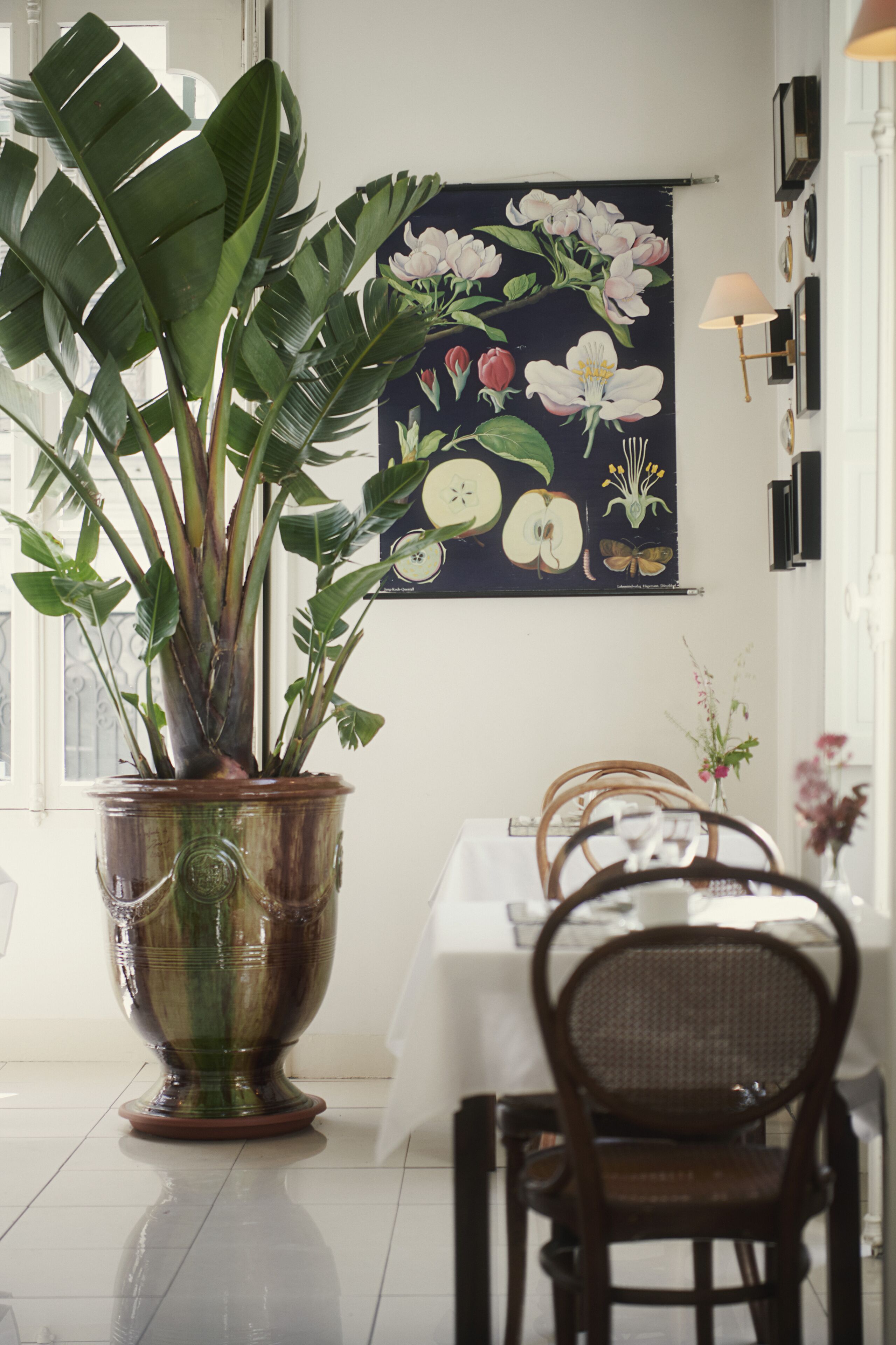 Foto - Hôtel Bristol Pau