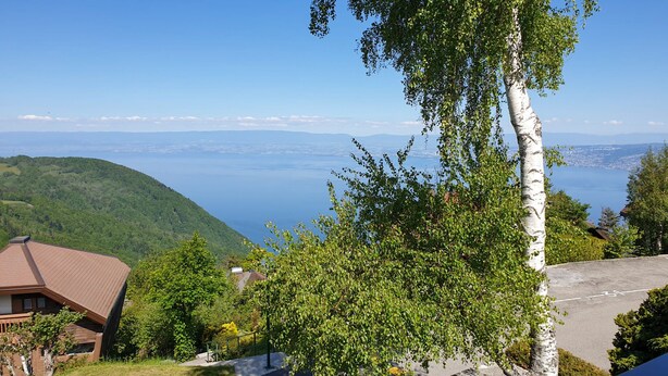 Blick auf einen Hügel mit einem Gebäude und einer Straße.