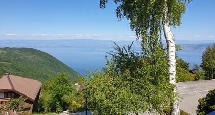 Chalet overlooking Lake Geneva