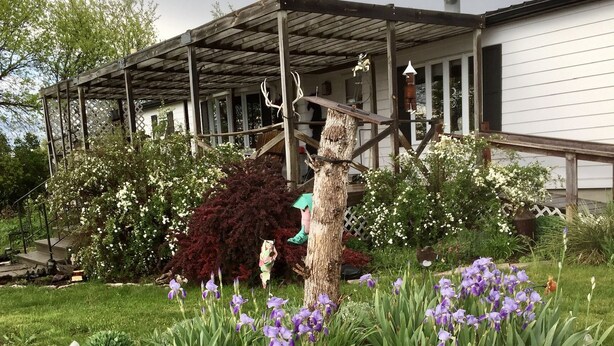 A garden with purple flowers, a wooden pergola, and a house with a porch.