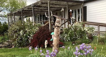 Camping space with hook ups hosted by a working ranch family