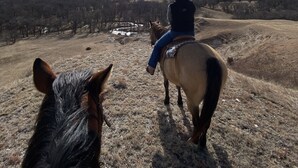 A person riding a horse on a grassy hill with a clear sky and a bright sun.