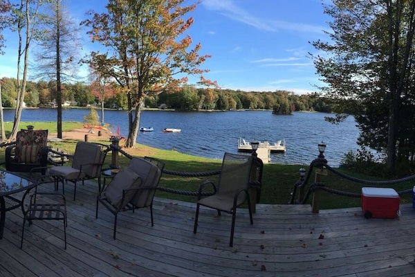 テラス / パティオ