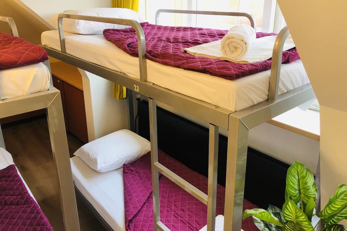 Une chambre de dortoir avec des lits superposés, une fenêtre avec des rideaux jaunes et une plante en pot.