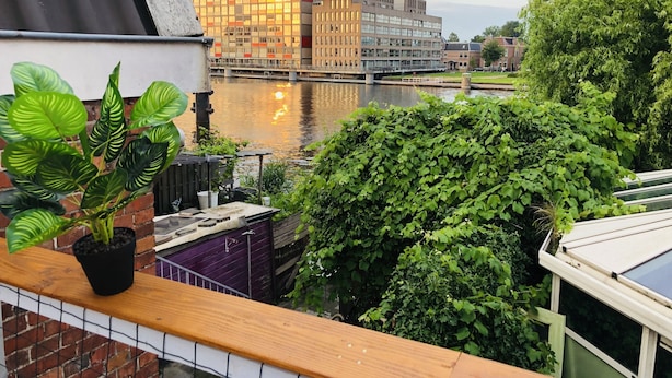 Un balcón con una planta en maceta, vista a un río y un edificio al otro lado del agua.