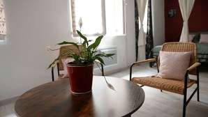 A round wooden table with a red pot containing a plant. There is a wicker chair with a cushion in the background. - Large studio near the ancient theater in Orange (Orange)