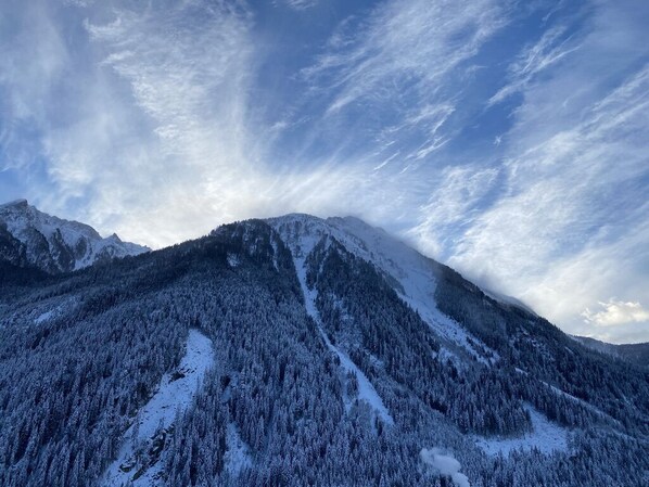 A snow-covered mountain with a forested slope and a clear sky. - Nice bright apartment in Krimml village, free WiFi, TV, 4 beds, fitted kitchen (Krimml)