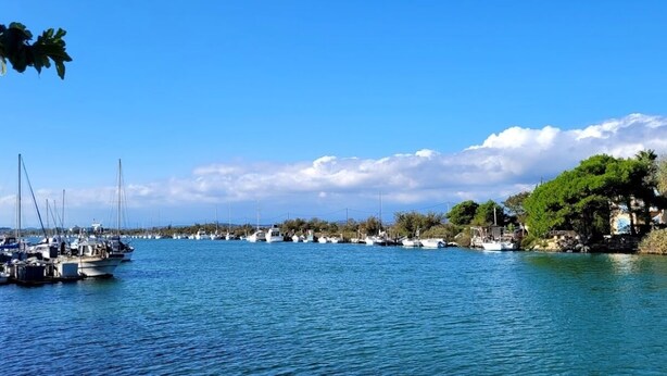 Un port de plaisance où les bateaux sont amarrés le long de la rive, entouré d’arbres et de bâtiments.