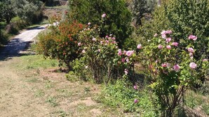 A dirt path leading through a garden with blooming pink flowers and various shrubs. - Villa Rahes,sea view,3 bedrooms,wifi,5min from the village,low prices (skopelos)