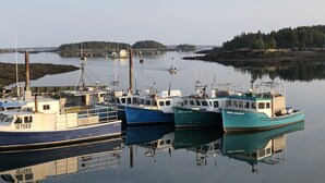 Uklassifisert bilde, 5 av 57, knapp
