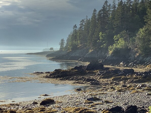 Accommodatie ligt op het strand, ligstoelen