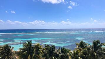 A tropical beach with clear turquoise waters and palm trees.