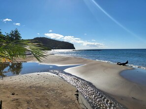 A beach with clear water, a palm tree, and a distant hill.