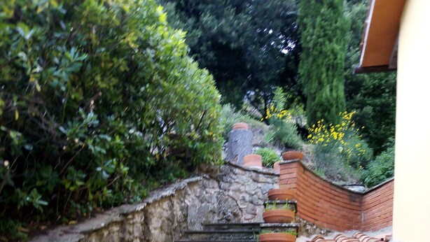 Unos escalones de piedra con macetas de terracota que contienen plantas verdes.