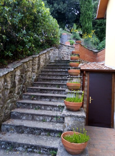 Il ponticello Cortona Charmful cottage in the woods 5 min from Cortona