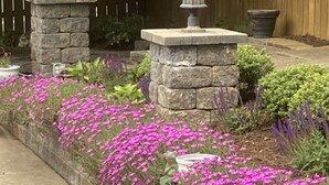 Un jardín con un sendero de piedra, flores rosas y una valla de madera.