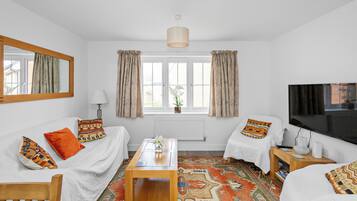 テレビ、DVD プレーヤー、ステレオ